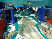 Trawler à venda