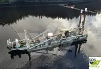 Draga à venda