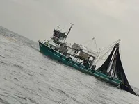 Navio de pesca de cerco à venda