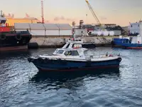 Navio graneleiro à venda
