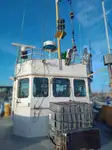 Barcos de trabalho à venda