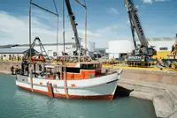 Trawler à venda