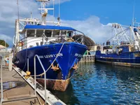 Navio de pesca de arrasto à venda