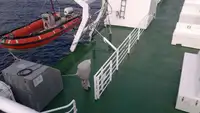 Navio Ro-Ro à venda