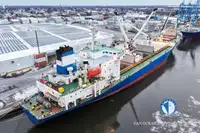 Navio frigorífico à venda