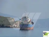 Navio graneleiro à venda