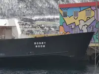 Navio Ro-Ro à venda