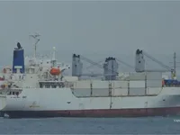 Navio frigorífico à venda