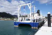 Navio de cruzeiro à venda