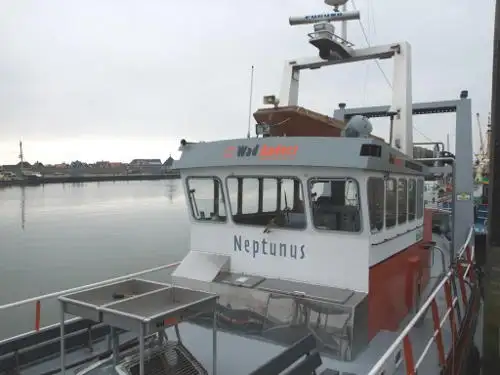 Navio de cruzeiro à venda