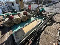 Navio de pesca de arrasto à venda