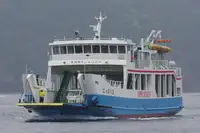 Navio Ro-Ro à venda