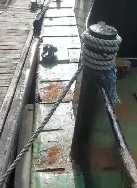 Barcos de trabalho à venda