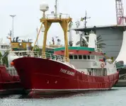 Barcos de trabalho à venda