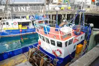 Navio transportador de GNL à venda