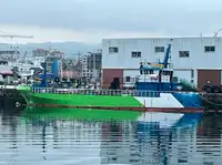 Barcos de trabalho à venda