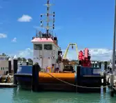 Barcos de trabalho à venda