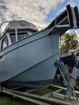 Barcos de trabalho à venda