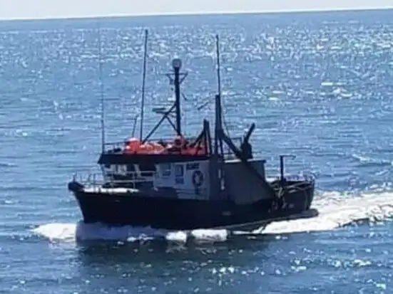 Navio de pesca de linha de mão à venda