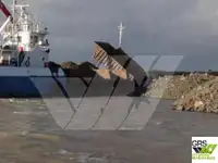 Draga à venda