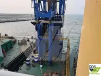 Dragador à venda