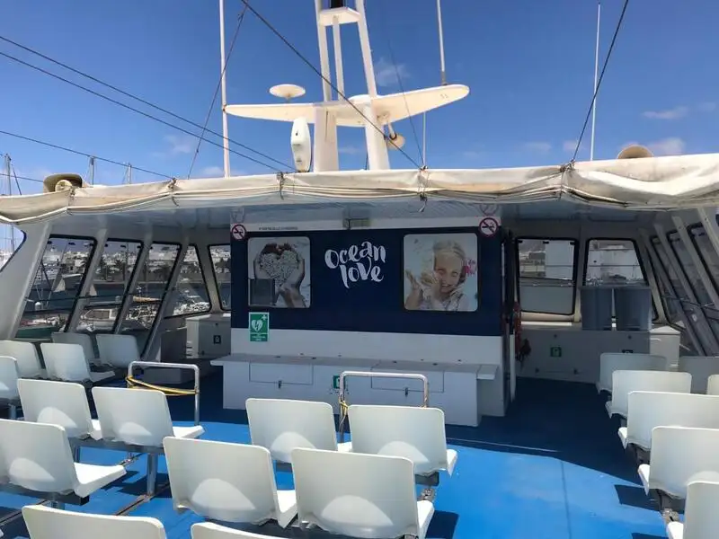 Catamarã à venda