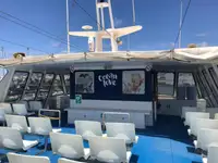 Catamarã à venda