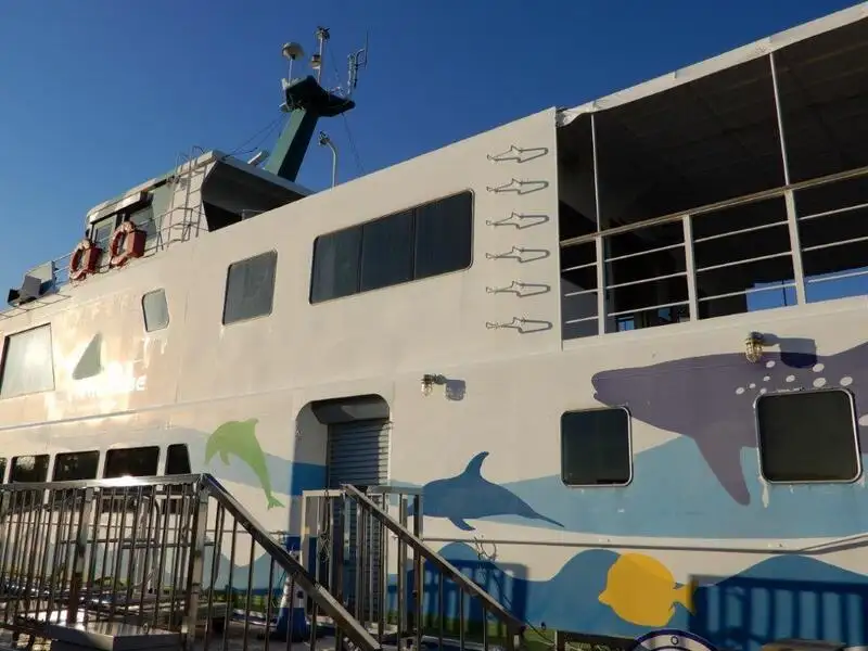 Navio de cruzeiro à venda