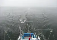 Navio de pesquisa à venda