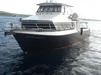 Navio balsa à venda