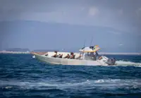 Bote inflável rígido à venda