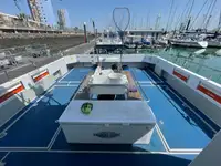 Catamarã à venda