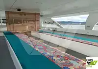 Navio de passageiros à venda