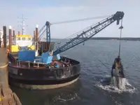 Dragador à venda
