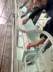 Barcos de trabalho à venda