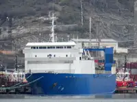 Navio graneleiro à venda