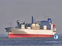 Navio frigorífico à venda