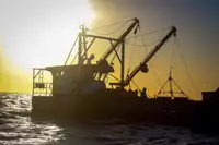 Barcos de trabalho à venda