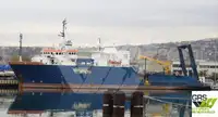 Suporte de mergulho à venda