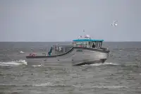 Navio de passageiros à venda