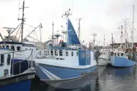 Portador de peixe vivo à venda