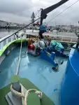 Barcos de trabalho à venda