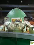 Navio Ro-Ro à venda