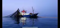 Trawler à venda