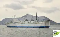 Ro-Ro ship à venda