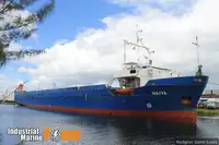 Ro-Ro ship à venda
