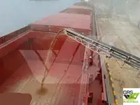 Navio graneleiro à venda