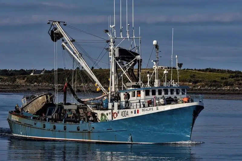 Navio de pesca de cerco à venda