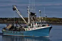 Navio de pesca de cerco à venda