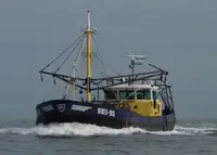 Draga à venda